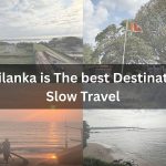 1HX s1BjG0VpKBZmI59dLSA