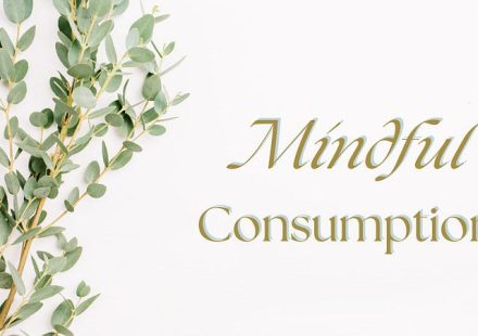 1PrUF4l7Xe5nnqvDQS3fwsw