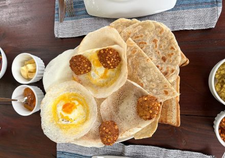 1LyR25Py wPXkApdgJK4gmQ